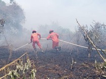 Karhutla Ancam Permukiman, Kubu Raya Tetapkan Status Siaga Darurat