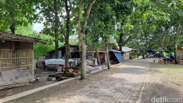 Lokasi penusukan maut mahasiswa Papua di Ngestiharjo, Bantul, Sabtu (17/1/2026).