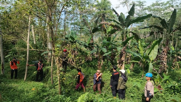 Tim SAR gabungan menyisir area hutan untuk melakukan pencarian terhadap Kakek Kardan (78) yang dilaporkan hilang di Desa Karangkemiri, Kecamatan Pekuncen, Kabupaten Banyumas, Sabtu (17/1/2026).