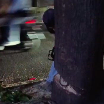 Pohon di Jalan Iskandar Muda, Kebayoran Lama, Jakarta Selatan ditebang oknum aparatur sipil negara (ASN). ASN tersebut dihadapkan dengan ancaman hukuman. (dok Istimewa)