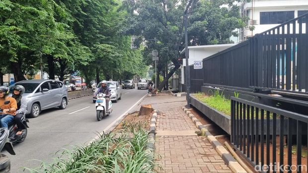 Pohon di Kebayoran Lama, Jakarta Selatan ditebang secara ilegal oleh oknum aparatur sipil negara (ASN). Bekas penabangan pohon itu masih terlihat di lokasi. (Taufiq/detikcom)