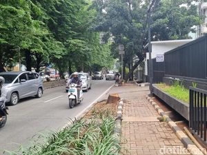 Duduk Perkara ASN Tebang Pohon di Jaksel Berujung Hukuman