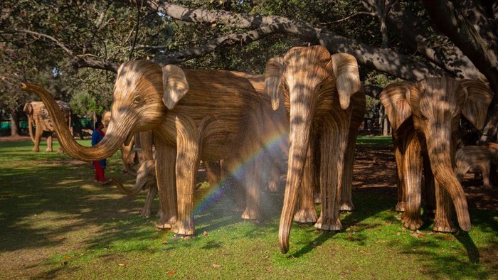 BENGALURU, INDIA - FEBRUARY 10: A rainbow from a sprinkler fountain forms in front of models of real wild elephants from the Nilgiri Biosphere Reserve made from the invasive weed Lantana camara as part of the Coexistence: The Great Elephant Migration art installation in the Lalbagh Botanical Garden on February 10, 2024 in Bengaluru, India. Coexistence: The Great Elephant Migration is a month-long event being organised by the Coexistence Collective to help build awareness and understanding of shared spaces between humans and wildlife. (Photo by Abhishek Chinnappa/Getty Images)
