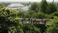 Royal Botanic Gardens, Kew, Inggris, merupakan salah satu institusi botani terpenting di dunia dengan koleksi puluhan ribu spesies tanaman hidup dan herbarium. Berstatus Situs Warisan Dunia UNESCO, Kew berperan besar dalam penelitian, konservasi, dan edukasi botani global. Getty Images/Daniel Berehulak