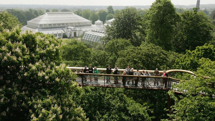 LONDON - MAY 22:  People walk along the Xstrata Treetop Walkway at Kew Gardens on May 22, 2008 in London, England. The 18m high Xstrata Treetop Walkway and the Rhizotron, which gives a unique opportunity for for visitors to view a tree's root system from underground, is part of Kew's summer festival and will open on the May 24 to the public.  (Photo by Daniel Berehulak/Getty Images)