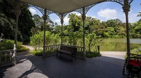Singapore Botanic Gardens tercatat sebagai kebun raya tropis pertama di dunia yang masuk daftar Warisan Dunia UNESCO. Kebun ini memiliki koleksi tanaman tropis yang luas, termasuk ribuan spesies anggrek, serta bersejarah dalam pengembangan tanaman karet di Asia. Getty Images/John S Lander