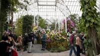 New York Botanical Garden (NYBG) menjadi salah satu kebun raya paling legendaris di Amerika Serikat dengan lebih dari satu juta tanaman hidup. Selain koleksi botani yang luas, NYBG aktif dalam penelitian ilmiah dan program edukasi bagi jutaan pengunjung setiap tahun. Liao Pan/China News Service/VCG via Getty Images