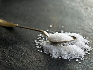 Minuman No Sugar di Gerai Kopi Ada yang Nutri Level C-D, Minuman Kemasan Bagaimana?
