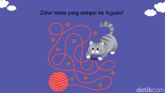 Hanya Satu Jalur yang Benar, Bisa Temukan Tanpa Menelusur pakai Telunjuk?