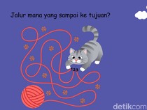 Hanya Satu Jalur yang Benar, Bisa Temukan Tanpa Menelusur pakai Telunjuk?