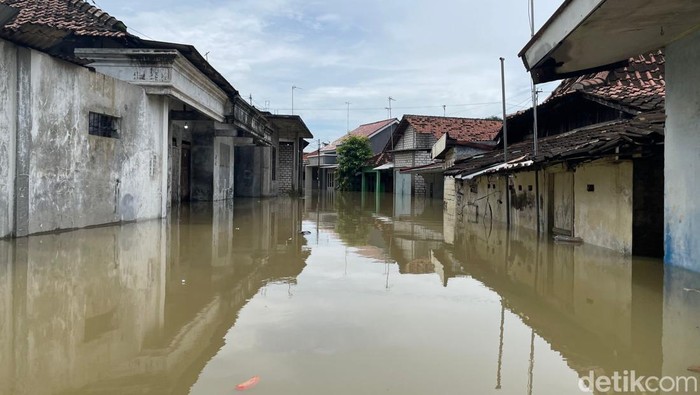 Kondisi banjir di Desa Doropayung Kecamatan Juwana, Kabupaten Pati, Minggu (18/1/2026). (Foto : Dian Utoro Aji/detikJateng).