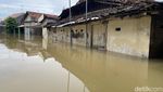 Sepekan Sudah Warga Doropayung Pati Kebanjiran