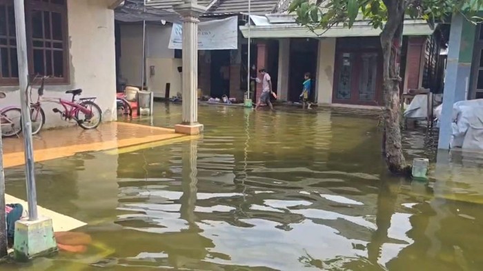 Dampak banjir luapan Bengawan Jero di Lamongan.