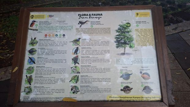 Flora Fauna Danau Kenanga UI