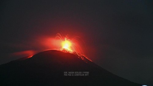 Gunung Ile Lewotolok di Kabupaten Lembata meletus 466 kali, pada Sabtu malam (17/1/2026) disertai gemuruh atau dentuman.