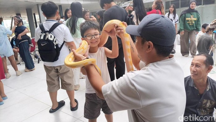 Gembiranya Anak-anak Bisa Bermain dengan Satwa Unik di dalam Mal