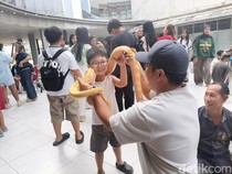 Gembiranya Anak-anak Bisa Bermain dengan Satwa Unik di dalam Mal