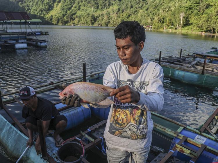 Keramba Apung Jadi Sumber Hidup Warga di Danau Ngade Ternate
