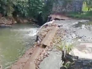 Bendungan Air Mata Singa Jebol, Pertanian di Bandung Barat Terancam