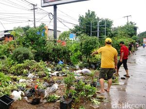 Lapak Tanaman Hias Berantakan Usai Diterjang Banjir Bekasi