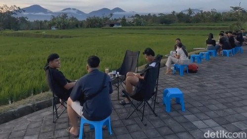 Sejumlah pengunjung Mangkal Kopi menikmati hamparan sawah Desa Getasan, Kecamatan Petang, Badung, Bali. (Foto: Agus Eka/detikBali)