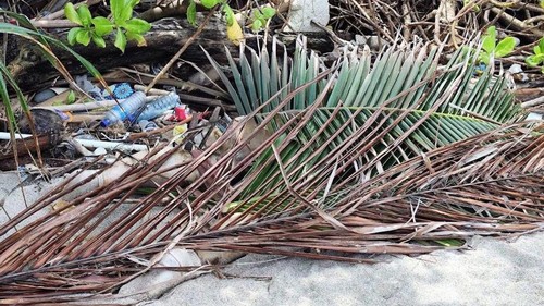 Temuan mayat tanpa busana di Pantai Pandanan, Lombok Utara, NTB, Minggu (18/1/2026). (Istimewa)