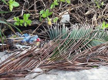 Viral Temuan Mayat Perempuan Telanjang-Tangan Hilang di Pantai Lombok Utara