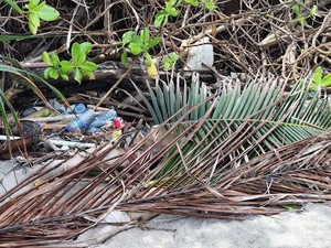 Viral Temuan Mayat Perempuan Telanjang-Tangan Hilang di Pantai Lombok Utara