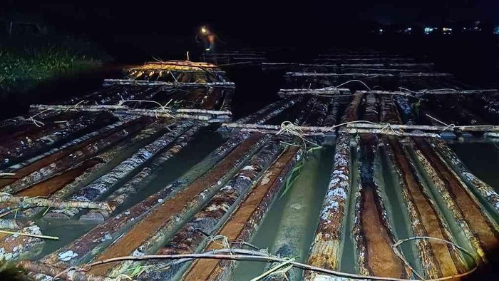 Balai Penegakan Hukum (Gakkum) Kehutanan Wilayah Kalimantan menggagalkan upaya peredaran kayu ilegal di Kabupaten Ketapang, Kalimantan Barat (Kalbar). Sebanyak 600 batang kayu bulat atau gelondongan disita petugas.