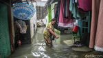 Banjir Dua Pekan Rendam Kampung Tambun Permata, Warga Bertahan di Tengah Genangan