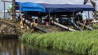 Genangan banjir menutupi lahan pertanian akibat cuaca ekstrem yang melanda wilayah Kudus sejak awal Januari. Petani menggunakan mesin pompa untuk menyedot air banjir dari sawahnya. Foto: ANTARA FOTO/Aprillio Akbar 