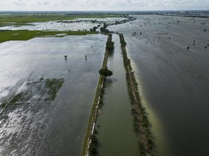 1.070 Hektare Sawah di Pati-Kudus Gagal Panen akibat Banjir