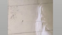 Bintang Timur memvideokan ikan kecil yang terbawa masuk ke dalam rumahnya karena banjir. Kalau udah diberesin (barang) takutnya balik lagi (banjirnya) saya malas. Kayak paling yang di bawah ada baju yang kerendam ya udah mau gimana, ungkapnya. Foto: Instagram @abintangtimur