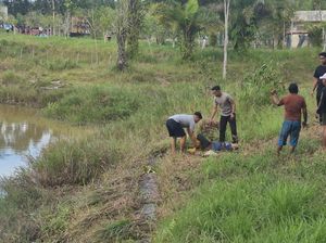 Polisi Selamatkan Emak-emak Diterkam Buaya 3 Meter di Tarakan