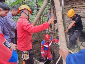 Sapi di Cilongok Banyumas Terperosok Septic Tank gegara Tali Putus