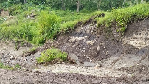Fenomena tanah bergerak di Kampung Waso, Desa Golo Rentung, Kecamatan Lamba Leda, Manggarai Timur, NTT