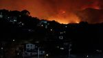 Kebakaran Hutan Meluas di Concepcion, Asap Pekat Selimuti Kota