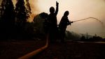 Kebakaran Hutan Meluas di Concepcion, Asap Pekat Selimuti Kota