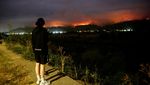 Kebakaran Hutan Meluas di Concepcion, Asap Pekat Selimuti Kota