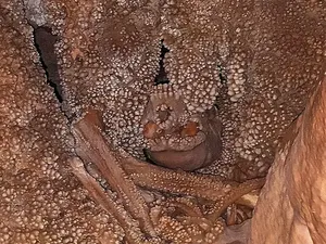 Ngeri Banget! Orang Ini Tewas dan Tulangnya Melekat di Dinding Gua