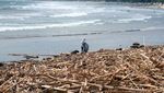 Penampakan Pantai Kuta Dipenuhi Sampah Kiriman Akibat Cuaca Ekstrem