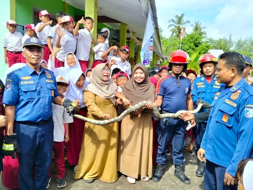 Proses evakuasi ular piton sepanjang 3,5 meter di SDN 5 Lembar, Lombok Barat oleh Damkarmat Lombok Barat, pada Senin (19/1/2026), sekitar 19.15 Wita. (Dok. Damkarmat Lombok Barat)