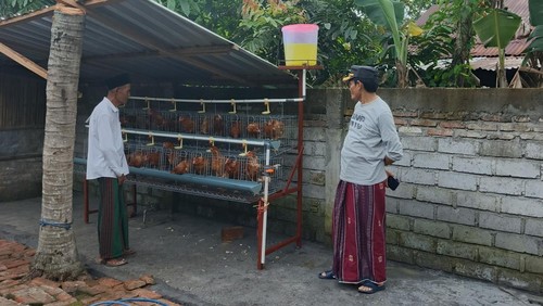 Wabup Lombok Tengah, Muhammad Nursiah (kiri), menyerahkan bibit ayam petelur di Praya, Senin (19/1/2026) petang. (Edi Suryansyah/detikBali)