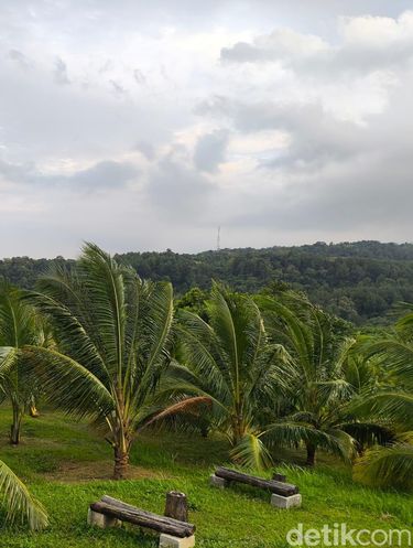 Warung Sejuta Pohon Kelapa di Kuningan