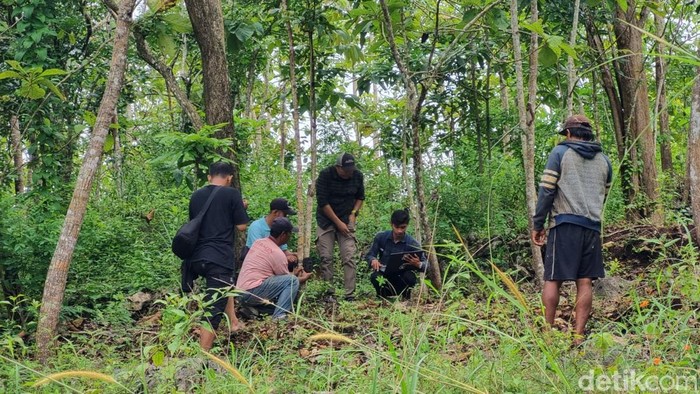 BKSDA Jogja memasang camera trap di lokasi kemunculan jejak diduga macan di Semanu, Gunungkidul, Selasa (20/1/2026).