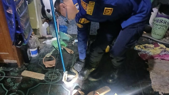 Evakuasi ular koros macan di rumah warga Kadirojo, Palbapang, Bantul, Selasa (20/1/2026) dini hari.