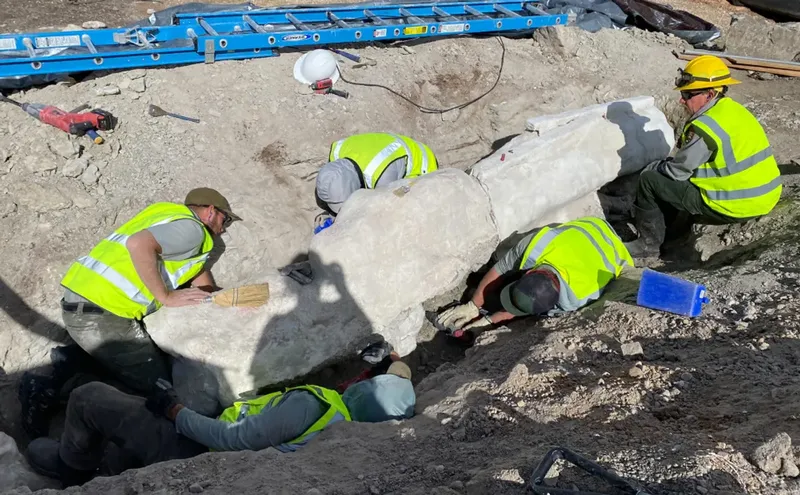 Fosil tulang raksasa dari dinosaurus ditemukan di lokasi yang akan dijadikan parkiran di Dinosaur National Monument Park, Utah.