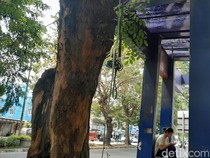 Atap Halte di Jalan Gatot Subroto Bolong, Warga Ngeluh Tak Bisa Berteduh