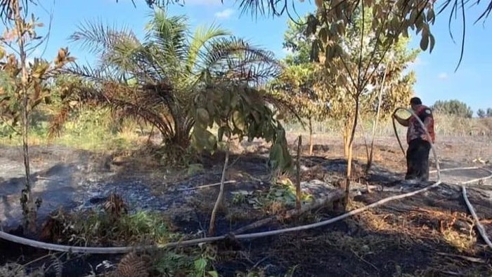Palangka Raya mengalami kebakaran hutan dan lahan (karhutla) paling banyak di awal Januari 2026. Badan Penanggulangan Bencana dan Penanggulangan Kebakaran (BPB-PK) Kalteng mengungkap alasannya.