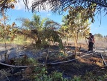 Tanah Palangka Raya Relatif Kering, 11 Karhutla Terjadi Awal Tahun